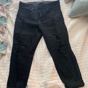 Torrid Premium skinny Jeans